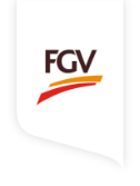 FGV-Tag.png