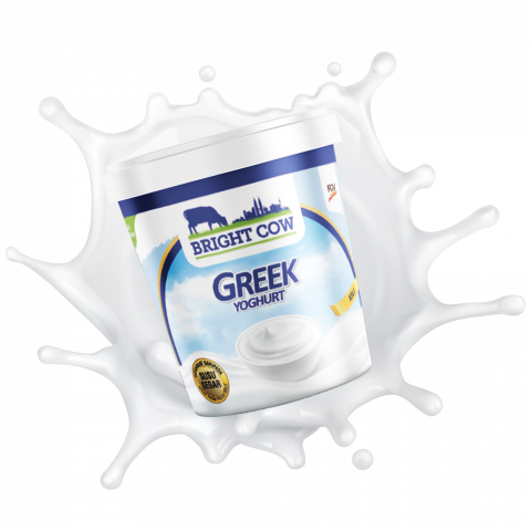 Greek Yogurt Natural